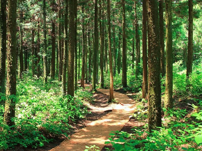 La naturaleza, fuente infinita de inspiración, se refleja en todas nuestras creaciones